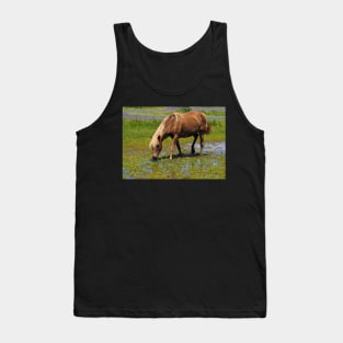 Assateague Pony Lunching on Watercress Salad Tank Top